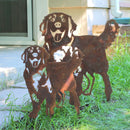 Golden Retriever - Standing