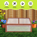 Outdoor Indoor Garden Portable Wooden Greenhouse by LJGDeals