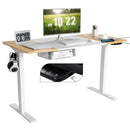 55 x 28 Inch Electric Adjustable Sit to Stand Desk with USB Port-Natural by LJGDeals