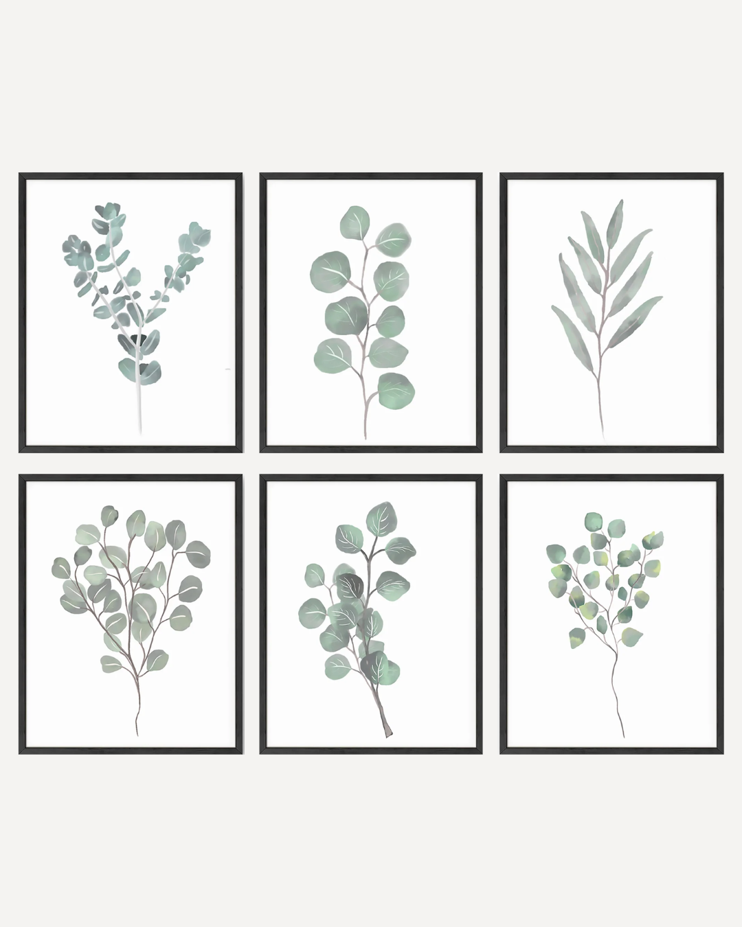 Botanical illustration