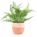 5.5 inch Clay-White Color Modern Pot