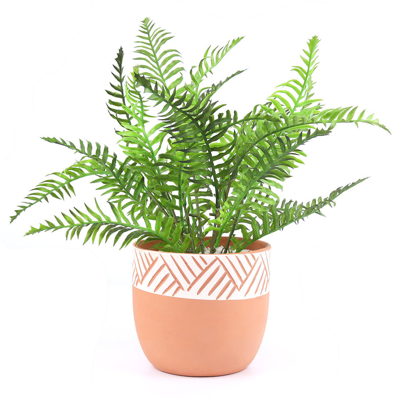 5.5 inch Clay-White Color Modern Pot