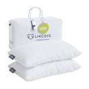 Dream Bamboo Pillow - Set of 2