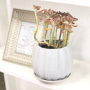 6 inch Grey Glazed Ceramic Contour Planter