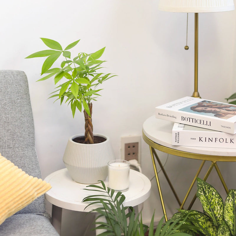 6 inch White Glazed Geometric Striped Ceramic Planter