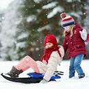 Folding Kids' Metal Snow Sled with Pull Rope Snow Slider and Leather Seat by LJGDeals
