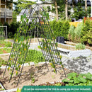 2/4 Pack 71 x 20 Inch Metal Garden Trellis for Climbing Plants by LJGDeals