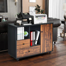 Mobile Filing Cabinet 2 Drawers with Open Shelves for Home and Office by LJGDeals