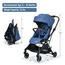 2-in-1 Convertible Aluminum Baby Stroller with Adjustable Canopy by LJGDeals
