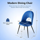 Dining Chair Set of 2 with Metal Base and Adjustable Pads by LJGDeals