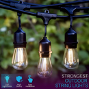 SL101 3000K Warm White LED Low Voltage Bistro String Lights 48 FT Outdoor Weatherproof 12V Edison Bulbs by Kings Outdoor Lighting