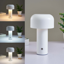 GlowMist™ Touch Lamp