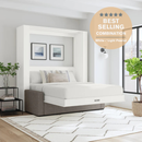 Wall Bed with Sofa