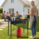 2 Burner Propane Stove 160000 BTU with Adjustable Regulator by LJGDeals