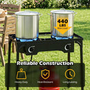 2 Burner Propane Stove 160000 BTU with Adjustable Regulator by DirectDeals