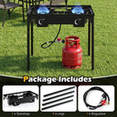 2 Burner Propane Stove 160000 BTU with Adjustable Regulator by LJGDeals