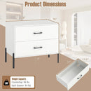 2-Drawer Dresser Modern Wooden Nightstand Set of 2-White by LJGDeals