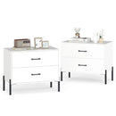 2-Drawer Dresser Modern Wooden Nightstand Set of 2-White by LJGDeals