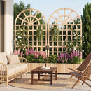 Set of 2 Wooden Raised Garden Bed with Trellis 71" Outdoor Planter Box Privacy Screen
