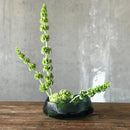 Opti Centrepiece by NUDE USA