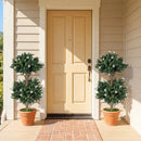 2 Pack 36" Artificial Double Ball Boxwood Topiary Tree with 41 Blossoms by LJGDeals