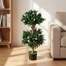 2 Pack 36" Artificial Double Ball Boxwood Topiary Tree with 41 Blossoms by DirectDeals