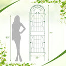 2 Pack 71 x 20 Inch Metal Garden Trellis Rustproof Plant Support for Climbing Plants by LJGDeals