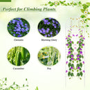 2 Pack 71 x 20 Inch Metal Garden Trellis Rustproof Plant Support for Climbing Plants by LJGDeals