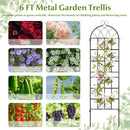 2 Pack 71" x 20" Metal Garden Trellis for Outdoor Climbing Plants