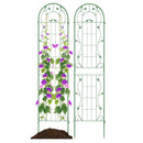 2 Pack 86.5 x 20 Inches Metal Garden Trellis for Climbing Plants