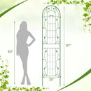2 Pack 86.5 x 20 Inches Metal Garden Trellis for Climbing Plants by LJGDeals