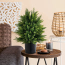 2-Pack Artificial Cedar Topiary Ball Tree with Cement Pot by LJGDeals