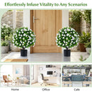 Artificial Eucalyptus Topiary Trees with Cement Planter (2-Pack) by DirectDeals