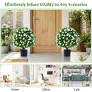 Artificial Eucalyptus Topiary Trees with Cement Planter (2-Pack) by LJGDeals