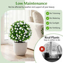 Artificial Eucalyptus Topiary Trees with Cement Planter (2-Pack) by LJGDeals