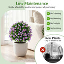 Artificial Eucalyptus Topiary Trees with Cement Planter (2-Pack) by LJGDeals