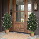 2 Pack Artificial Topiary Cone Tree Faux Potted Shrub Plant with 49 Flowers by LJGDeals