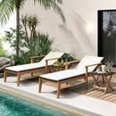 2 Piece Outdoor Chaise Lounge Chair Set Rattan Patio Chaise with Armrests by DirectDeals