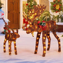 2 Pieces Lighted Moose Family with 170 LED Lights and Zip Ties by DirectDeals