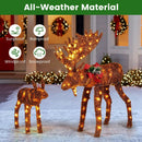 2 Pieces Lighted Moose Family with 170 LED Lights and Zip Ties by DirectDeals