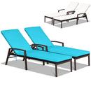 2 Pieces Patio Rattan