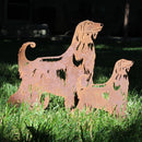 Afghan Hound