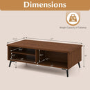2-Tier Mid Century Modern Coffee Table with Storage Shelves Compartments by LJGDeals