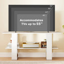 2-Tier TV Stand with Storage for TVs up to 55 Inch Console Table with Open Shelf by LJGDeals