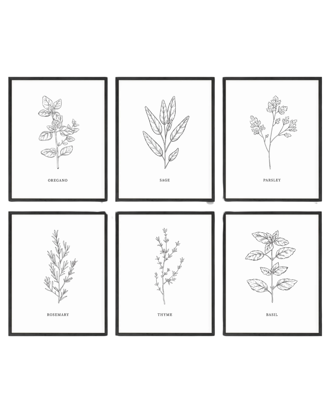 Herbs