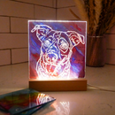 LED Light Frame Alcohol Ink Kit by Adults and Crafts