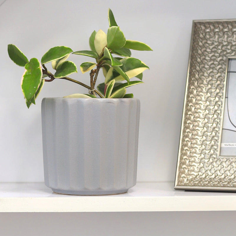 5 inch Grey Glazed Ceramic Cylinder Faux Cement Planter