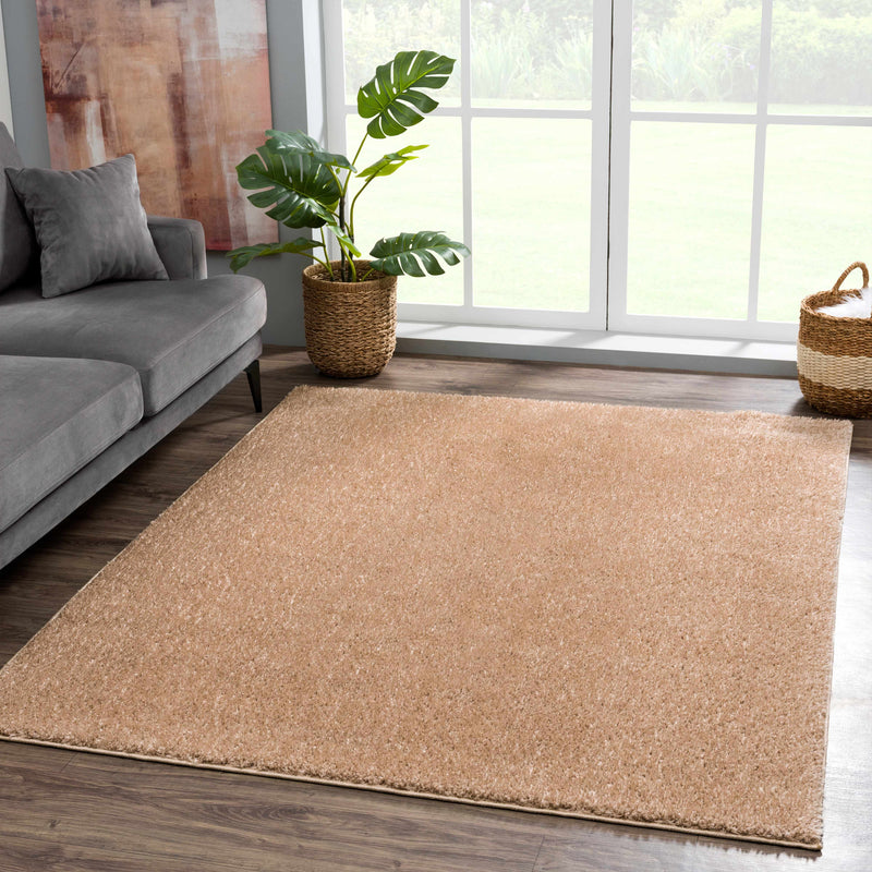 Judy Brown Washable Area Rug