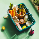 Tiny Land® Organic Play Food Collection by Tiny Land INC