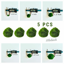 Live Moss Balls Mini Baby 0.3-0.5cm 5/10/20/50PCS Marimo Moss Balls Aqua Plant Pet Petco